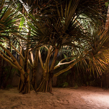 Ocean Front Landscape Lighting, FL Estate