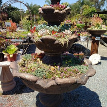 Planter Fountain
