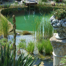 pools