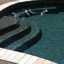 Haggin Back Yard