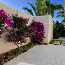 Backyard Landscaping