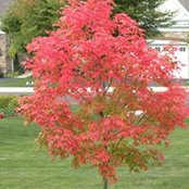 Jo Ann Smith Kutzner's photo