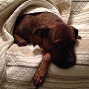 Phil White's photo