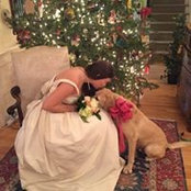 Elaine Meyer Bergmann's photo