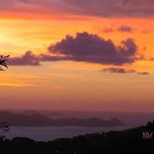 Melody Johnson's photo