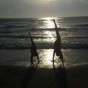Anne Vondrak's photo