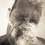 Markus Loll's photo