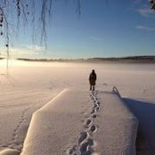Klara Oberg's photo