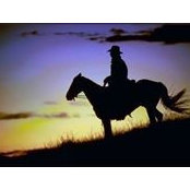 Nichola Moore's photo