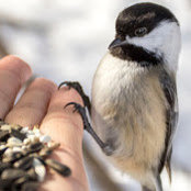Chris c's photo