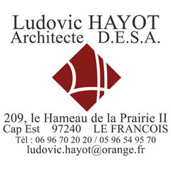 Ludovic HAYOT