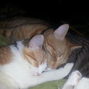 Melinda Moore's photo