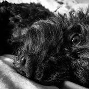 Brian Nguyen's photo