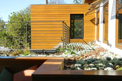 Photo of a contemporary landscaping in Orange County.