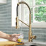 Bolden Commercial Pull-Down 1-Handle Kitchen Filter Faucet, 3-Function, SFACB