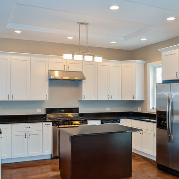 Wicker Park Two-Flat Single Family Gut Rehab - Kitchen