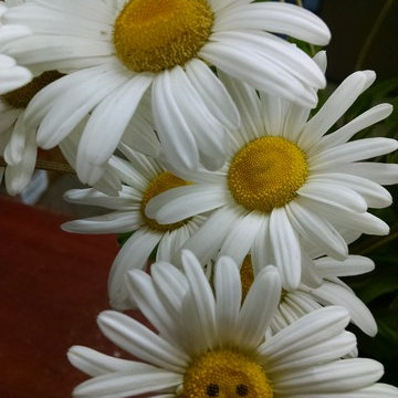 Have a Nice Day
