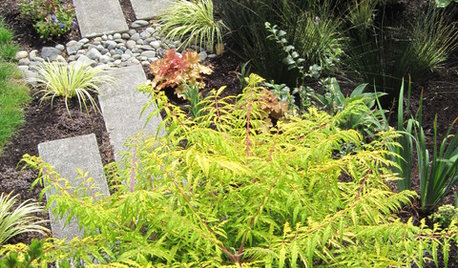 8 Most Effective Water-Saving Techniques for Your Garden