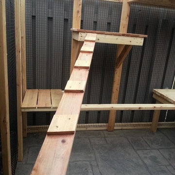 Cedar Cat Enclosure