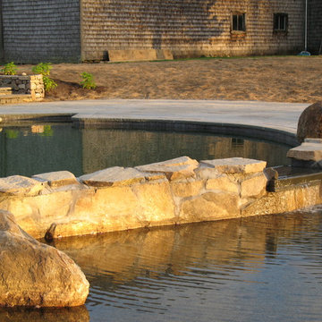 Natural Pool with separate regeneration area