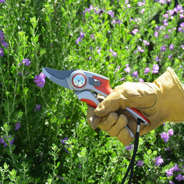 Landscape Maintenance