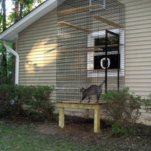 Catio