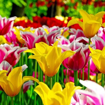 Spring Combination Ideas