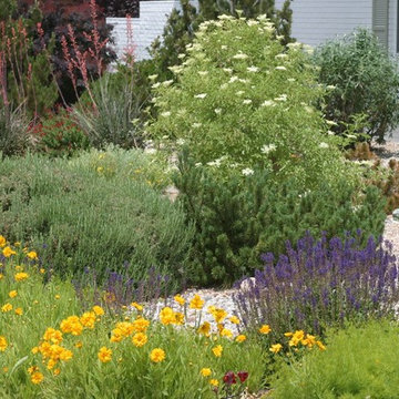 Xeric: Landscaping Projects
