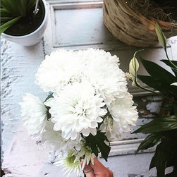 Our Flowers - Products