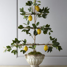Decor