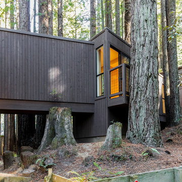 Sea Ranch - Schooner Drive