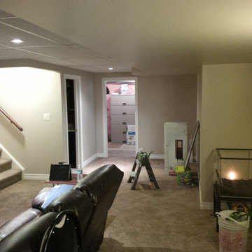 Basement Finish