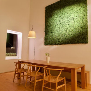 デュッセルドルフの広いモダンスタイルのLDKの画像 (白い壁、淡色無垢フローリング、暖炉なし、黄色い床)