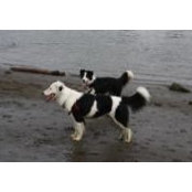 Jeni McBride's photo