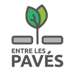 Entre Les Pavés