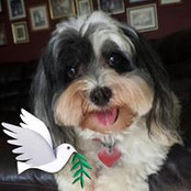 Photo de Cheryl Mannens-Wong