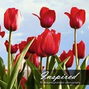 Larry Hampton's photo
