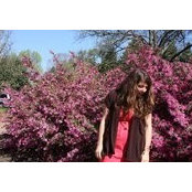 Chantell LaPan's photo