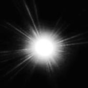 Bahaa Betar's photo