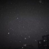 Alexius Cai's photo