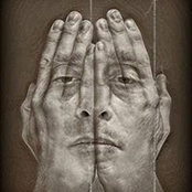 Stefano Testoni's photo