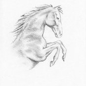 Wilder Crosss foto