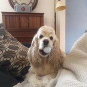 Ivan Moore's photo