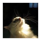 Mari Schaefer's photo