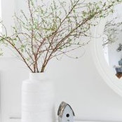 Lien Nguyen's photo