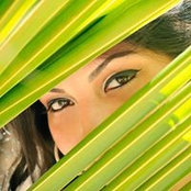 Jacelle Sanchezs foto