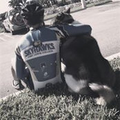Frank Ruiz's photo