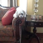 Sharon Robb's photo