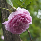 Julia Beska's photo