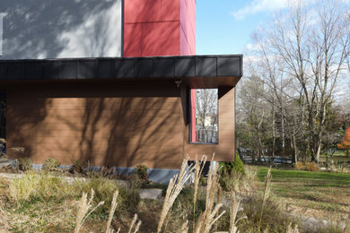 Ejemplo de fachada de casa moderna con revestimiento de aglomerado de cemento y panel y listón